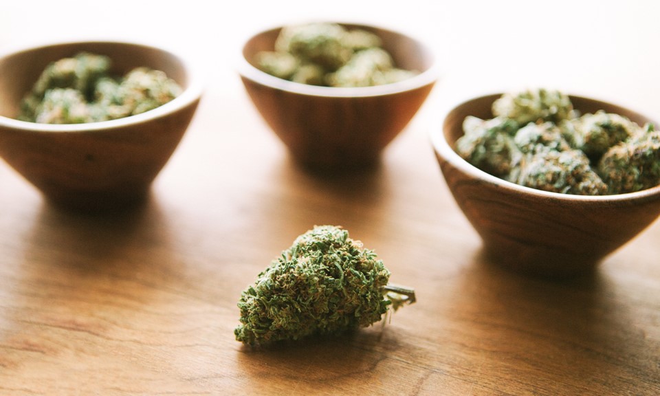 CBD Vs. THC: There Differences, Benefit, And Their Effects.